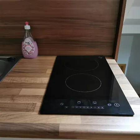 Ferienwohnung Dachgeschoss Augustusberg,62m² * Bad Gottleuba-Berggiesshuebel